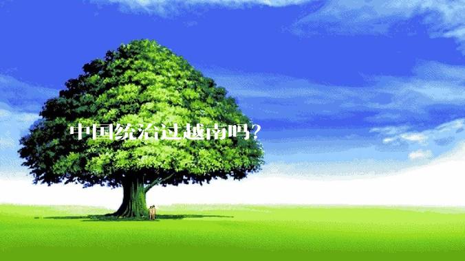 中国统治过越南吗？